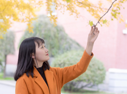 菲律宾雷省国立科技大学排名